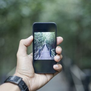 Take Better Photos With Your Cell Phone Camera