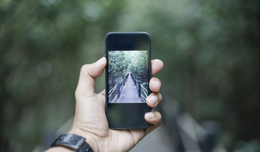 Take Better Photos With Your Cell Phone Camera